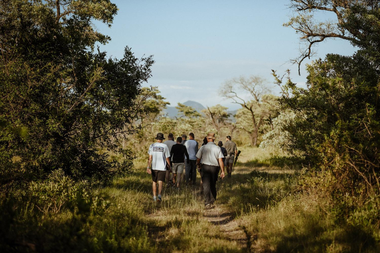 Others 3, Unyati Safari Lodge, Ehlanzeni