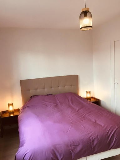 Appartement Clinique saint Francois centre-ville, Indre