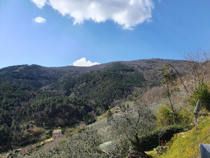 Surrounding environment, Pietra d'Acqua B&B in the woods, Pisa
