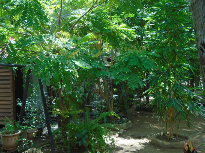 Others 5, Living inn Polonnaruwa, Thamankaduwa