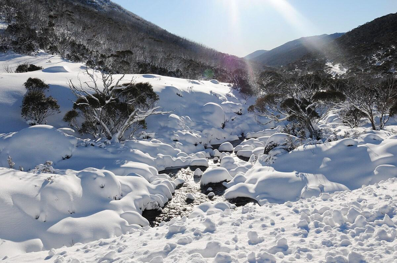 Others 5, Blues Air 3A, Snowy River