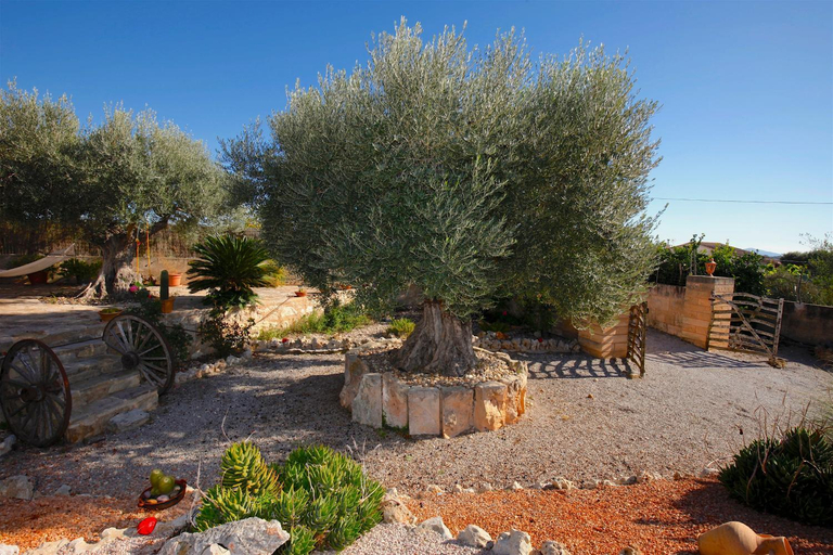 Others 4, Quality Villa Es Moli, Baleares