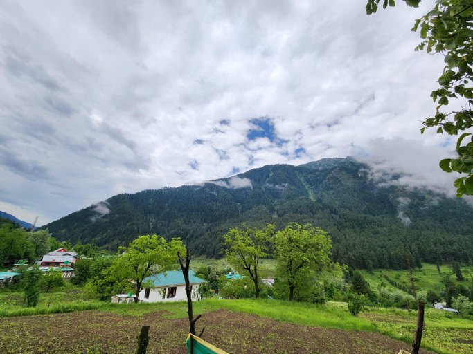 Surrounding environment