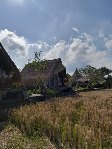 Exterior & Views 1, Cabin Lumbung - beautiful ricefield view!, Gianyar