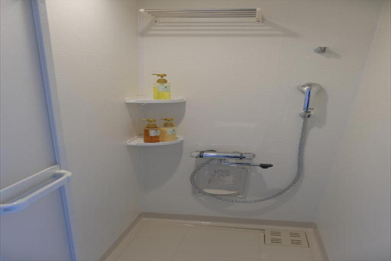 Bathroom 4, MeguFuji, Fujiyoshida