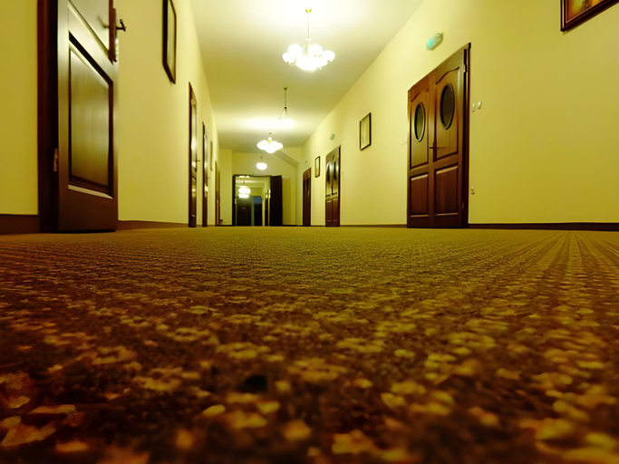 Public Area 2, Korona Palace, Łęczyca
