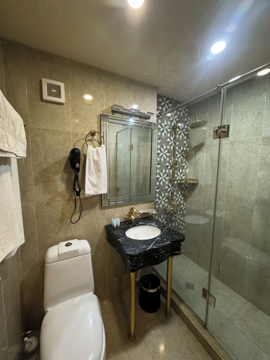Bathroom 3, NMetechi, Tbilisi