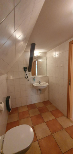 Bathroom 4, Pension Robinienhof, Salzlandkreis