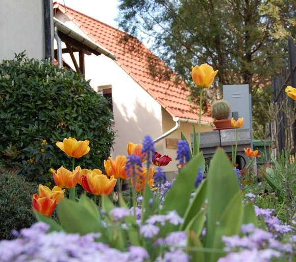 Others 3, Maya Guesthouse, Eger