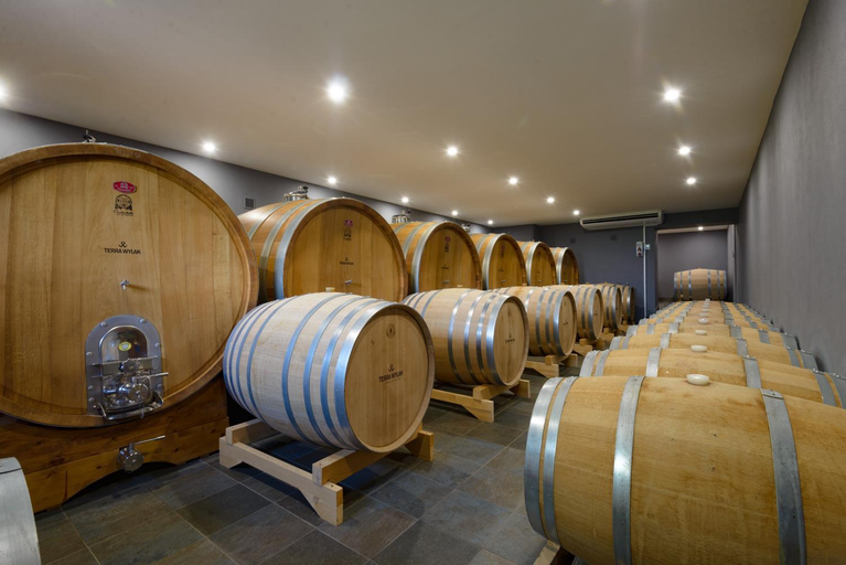 Others 3, Terra Wylak Winery, Nitra