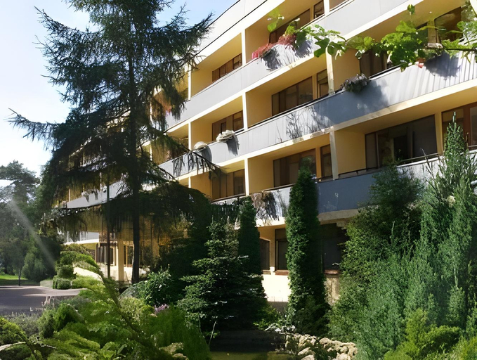 Others 5, Jantar Medical Spa, Kamień