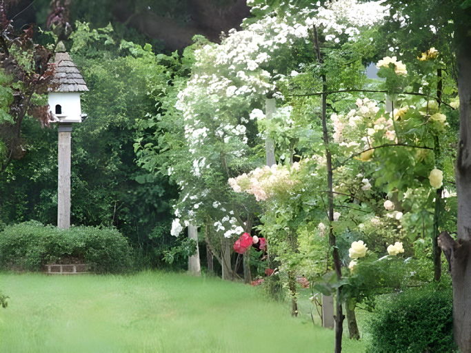 Others 5, No.1 Mulsford Cottage, Wrexham