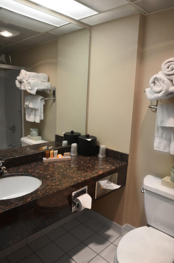 Bathroom, Centerstone Plaza Hotel Soldiers Field, Olmsted