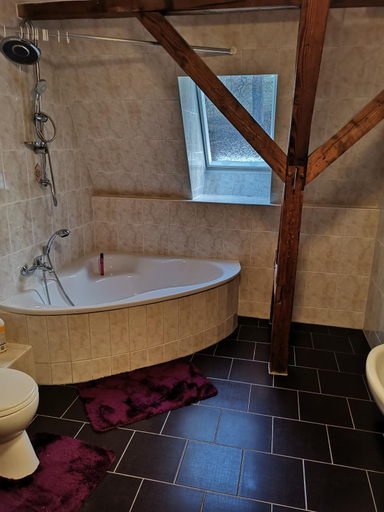 Bathroom, Ferienwohnung Rote-Villa, Erzgebirgskreis