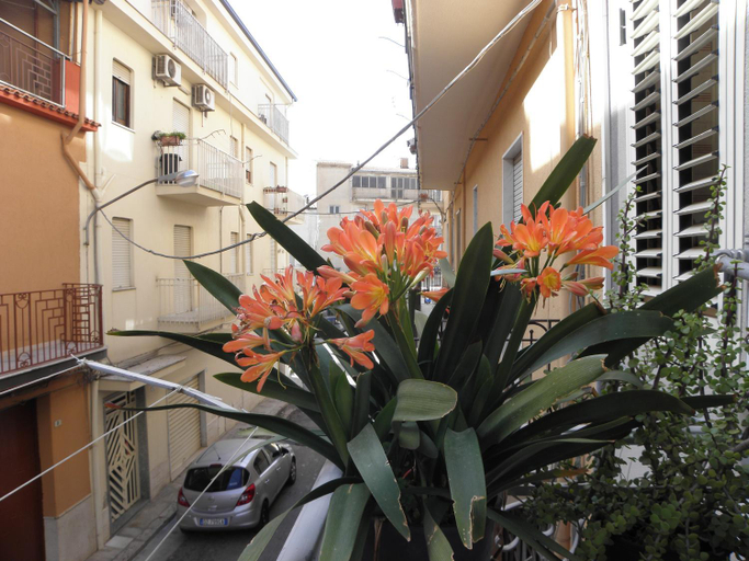 Others 3, Dellangelo Casa Vacanze, Palermo