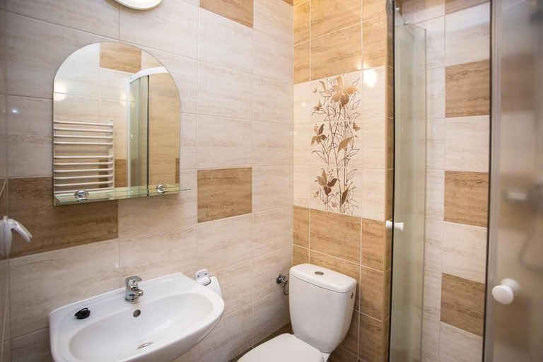 Bathroom 4, Sykowny Bialy Dunajec, Tatra