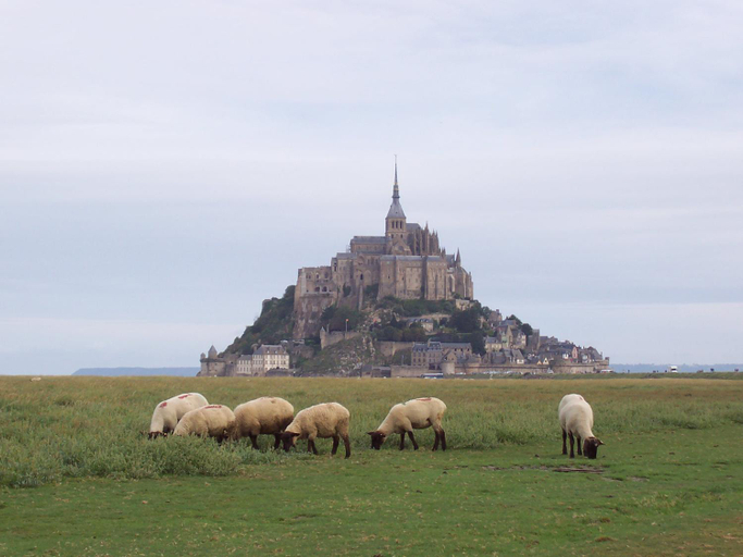Others 5, Clos Margottieres, Manche