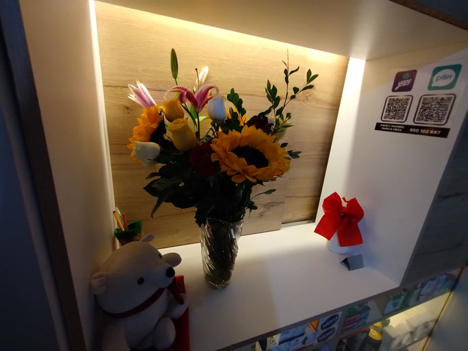 Others 4, Hostal TOSCANO SUITES, Huancayo