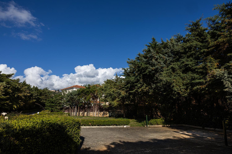 Others 5, Villa Kataleya, Ionian Islands