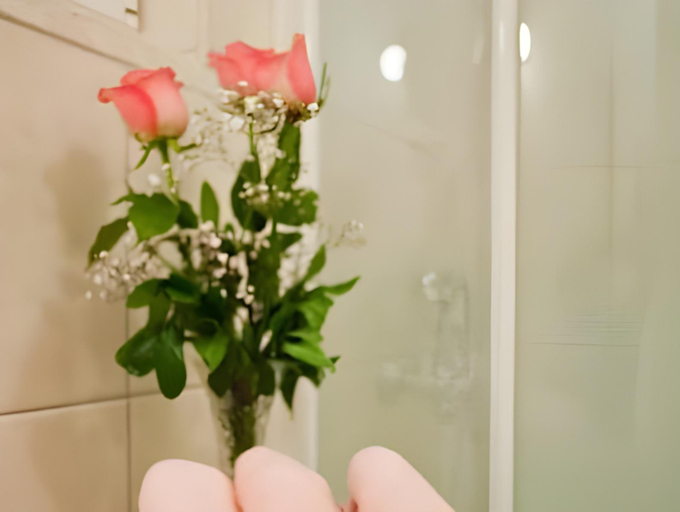 Bathroom 2, Adagio Theatre Apartment Split, Split