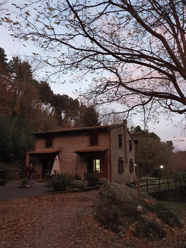 View 2, Pietra d'Acqua B&B in the woods, Pisa