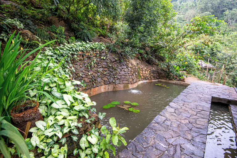 Others 5, Nuga Retreat, Hanguranketha
