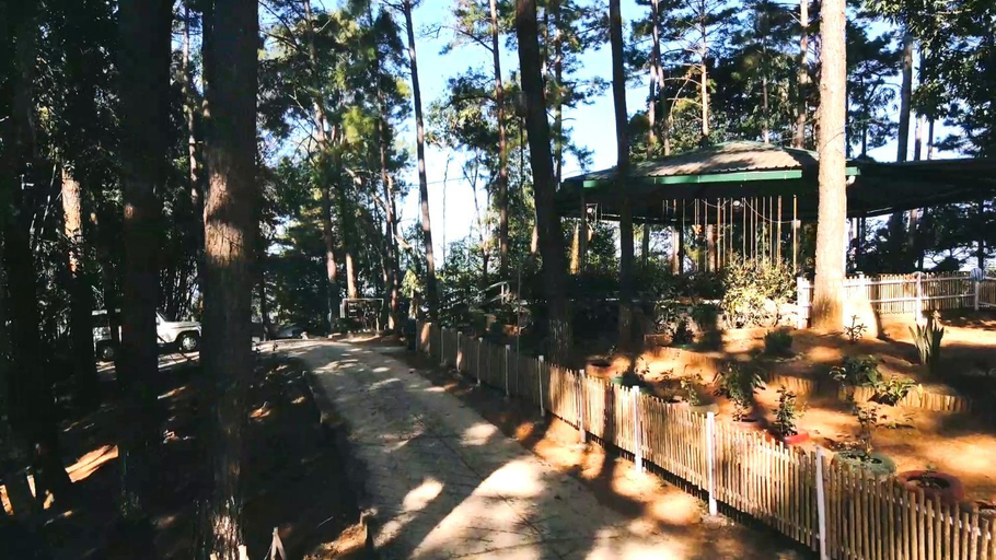Food & Drinks, ROYALTY GLOBAL , East Khasi Hills