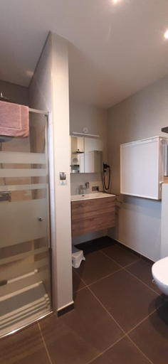 Bathroom, B & B Victors Hof, met zwemvijver in landelijke setting, Oost-Vlaanderen