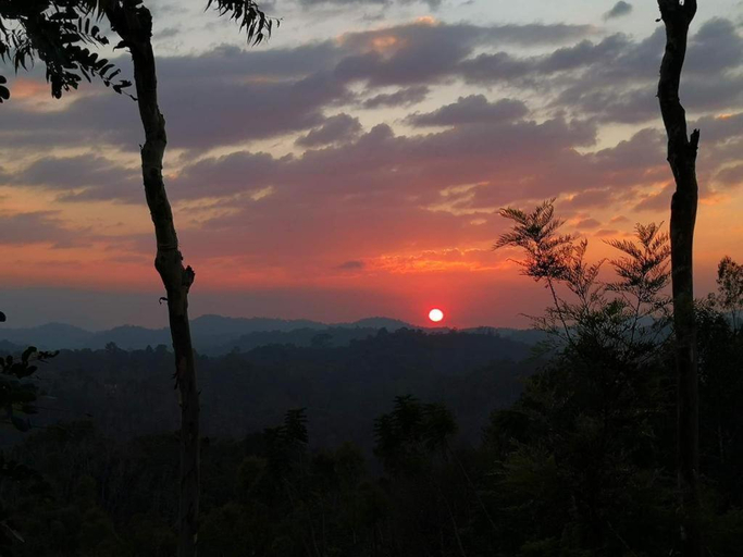 Others 2, The Periaheights, Wayanad
