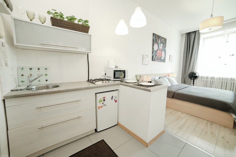 Others 5, Studominsk Apartments Lenina st., Minsk