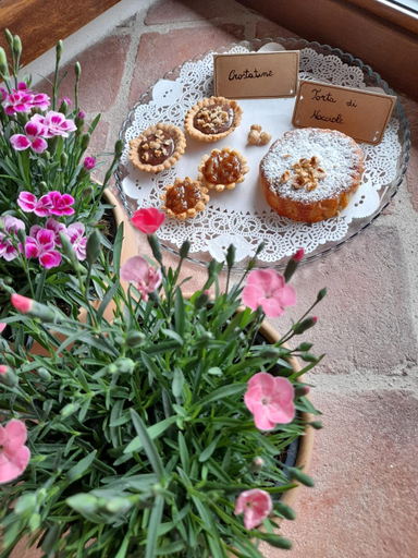 Food & Drinks 4, B&B ai SILIO, Cuneo