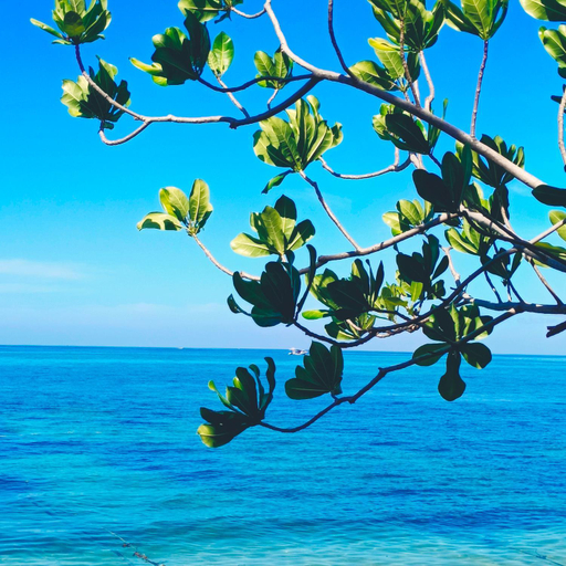 Others 4, Bunaken 18 Oceanfront Boutique Lodge, Manado