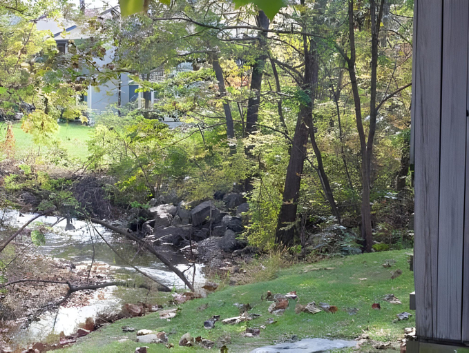 Others 4, Chalet High by CoolVacay, Shenandoah