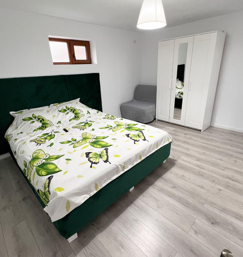 Others 4, Damian Confort Zone - free parking - self check-in, Timisoara