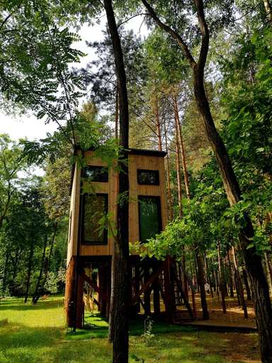 Kids playground