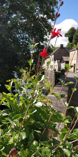 Others 2, Sweeting's B & B Chailland, Mayenne