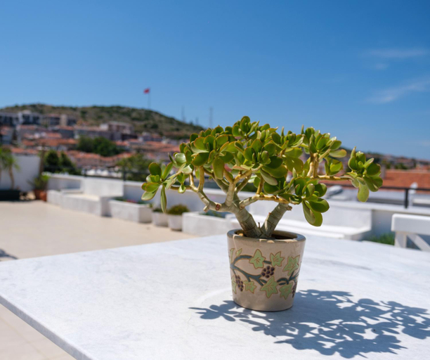 Others 5, Cesurlar Hotel, Çeşme