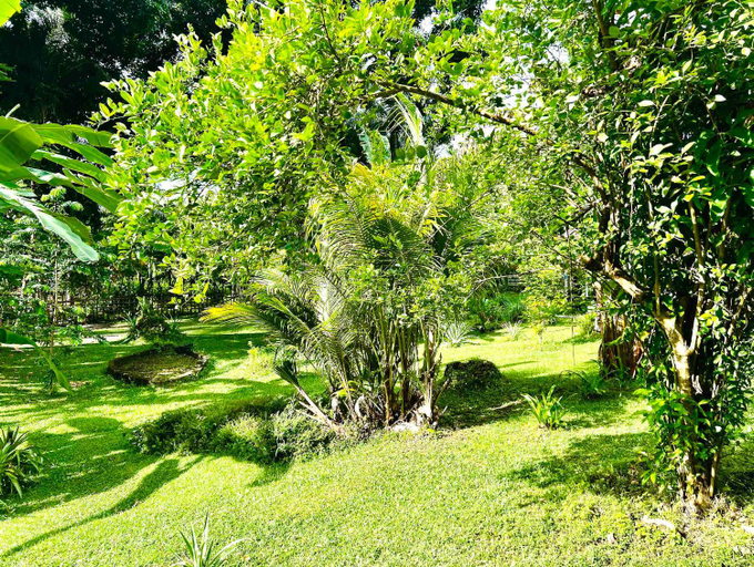 Others 2, Sanctum Eco Resort and Dive Center Una Una, Tojo Una-Una