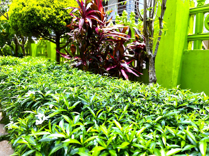 Others 4, deluxe residency, Wayanad