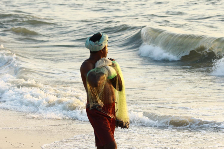Others 5, Marari Nest Beach Homestay, Alappuzha