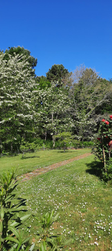 Others 2, Chambres vue jardin entre Lac et Foret, Landes