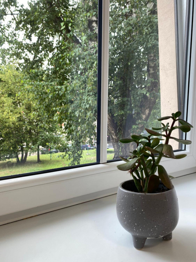 Others 4, Neiroprakse Mini Hotel, Daugavpils
