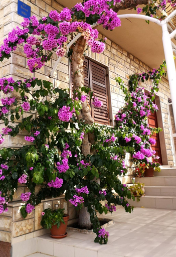 Others 5, Sweet triple room in Makarska, Makarska