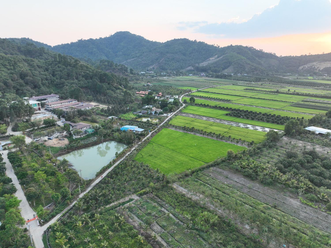 Others 4, Dream Hill Homestay, Tân Phú