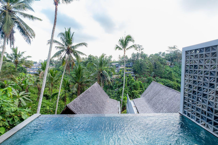 Swimming Pool 4