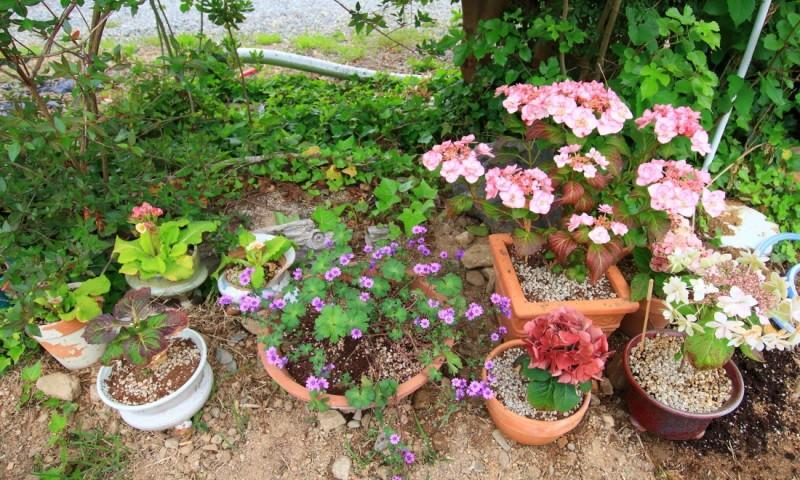 5, Gyeongju Pine Fragrance Pension, Gyeongju