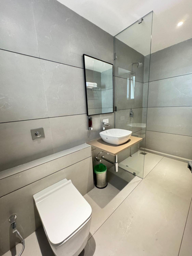 Bathroom, HOTEL CARNIVAL, Parbhani