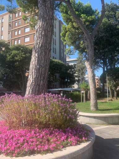 Others 5, Sunny Home, appartamento in centro e vicino alla spiaggia, Gorizia