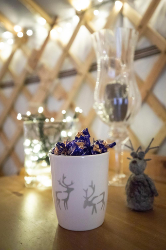 Food & Drinks 5, Yurt District, Lapland