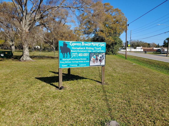 Horseback riding, Azule Waterfront Villa with Private Dock, Pinellas